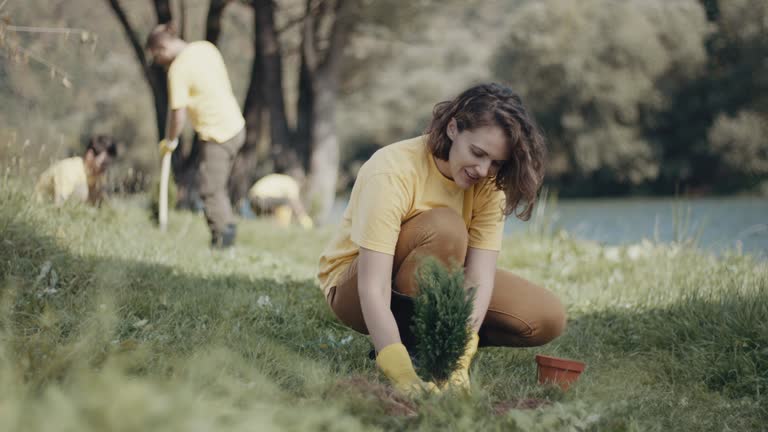 Best Tree and Shrub Care  in Elburn, IL